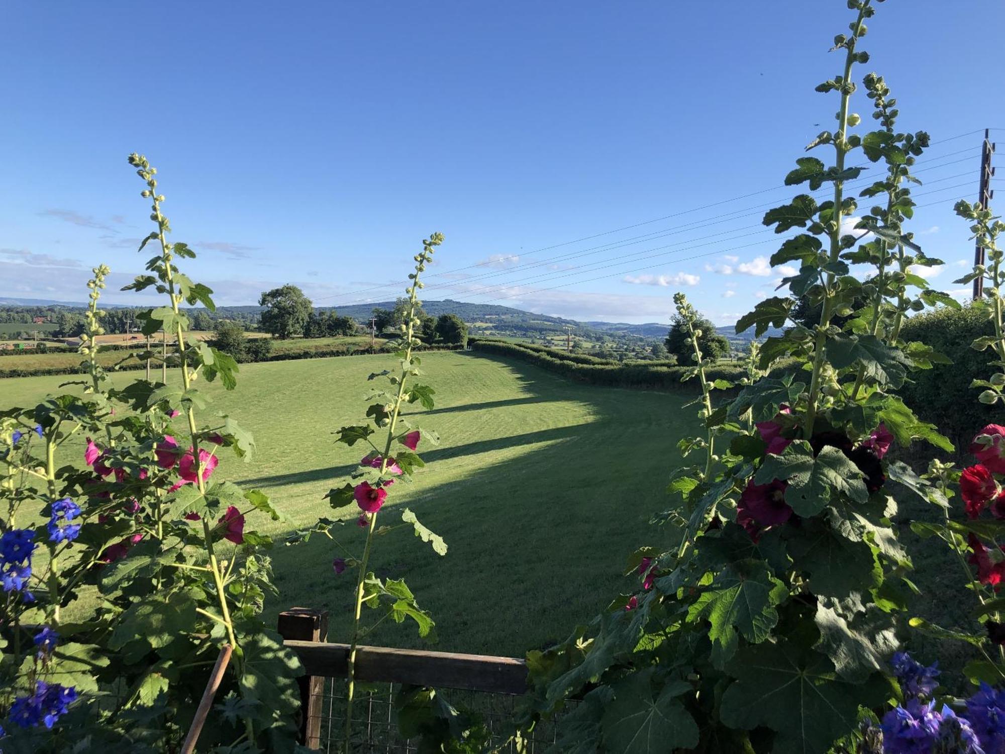 Betula Views Studio Newent Exterior foto