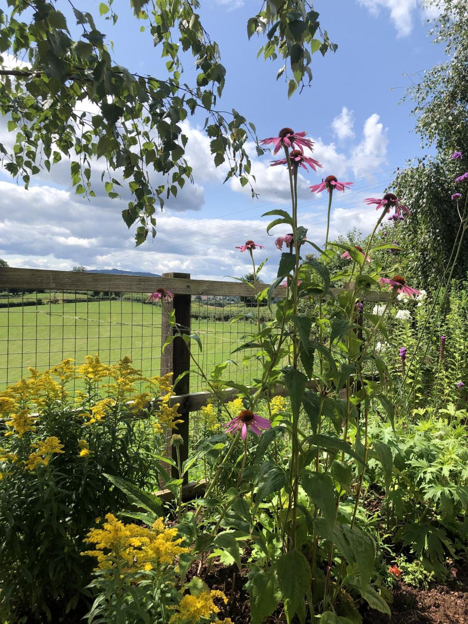 Betula Views Studio Newent Exterior foto